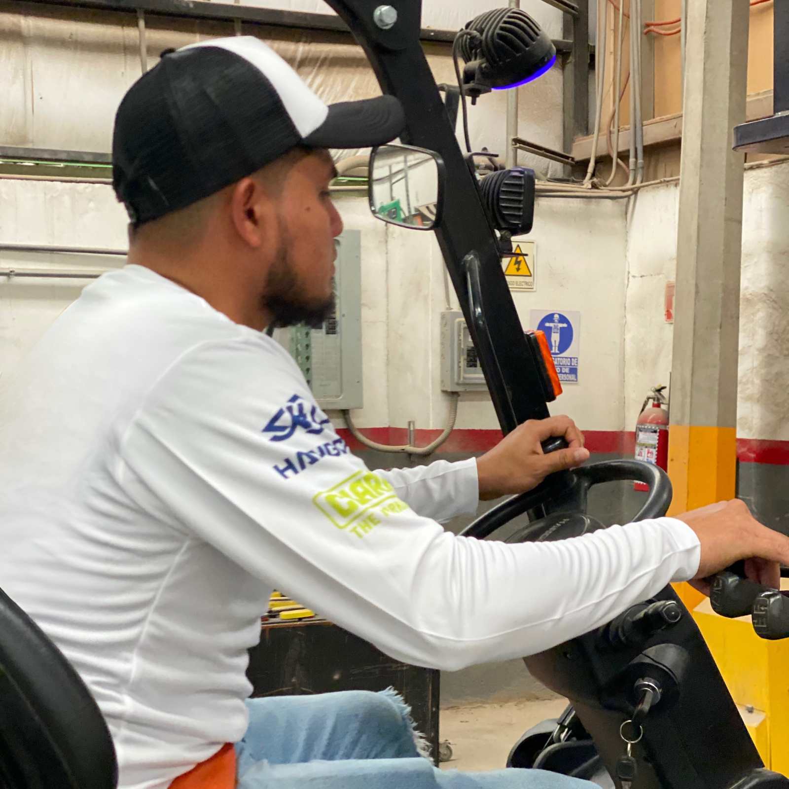 Ejercicios prácticos del curso